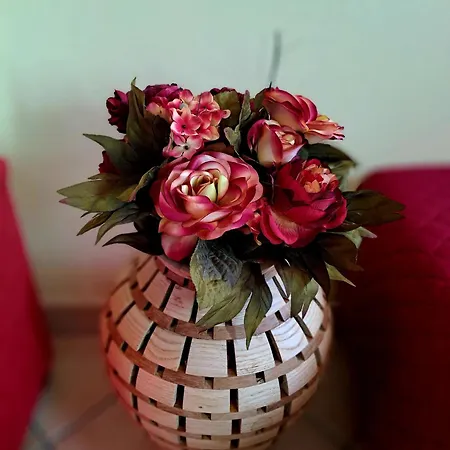 Casa Flo Апартаменти *