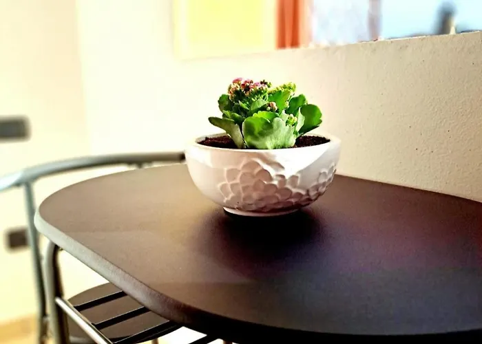 Casa Flo Апартаменти Віллазімьюс